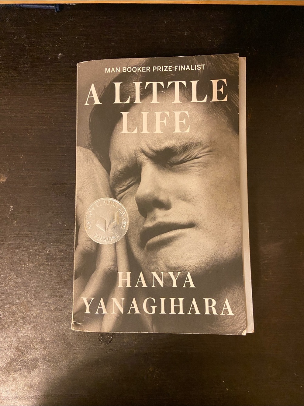 A Little Life Book by Hanya Yanagihara